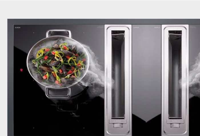 PuriVent DOMINO filter voor kookplaat met ingebouwde afzuiging - 1000 m3/h - 220 x 90mm